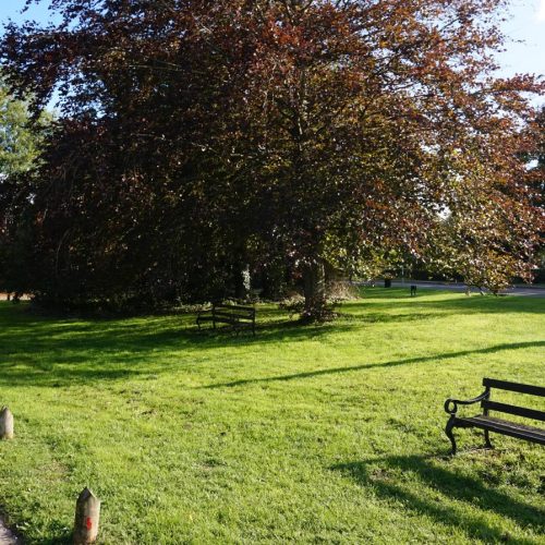 Green space outside the village hall